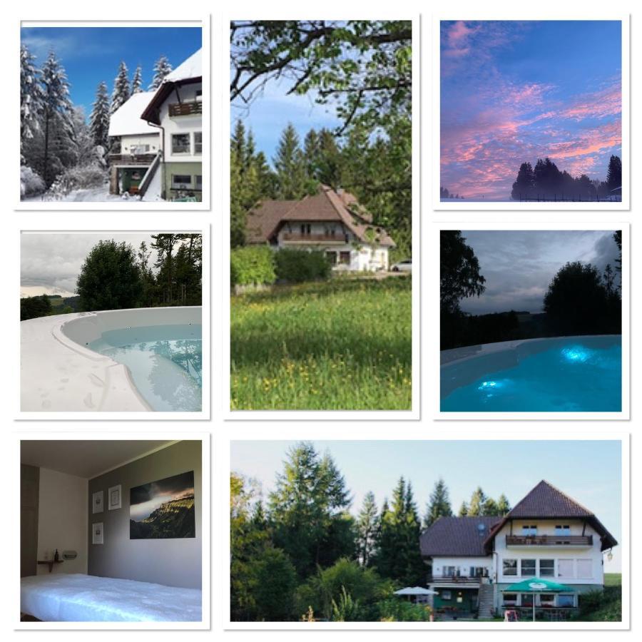 B & B Der Waldvogel Herrischried Екстер'єр фото